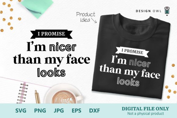 Nicer Than My Face - Funny T-shirt SVG Review for Real Projects